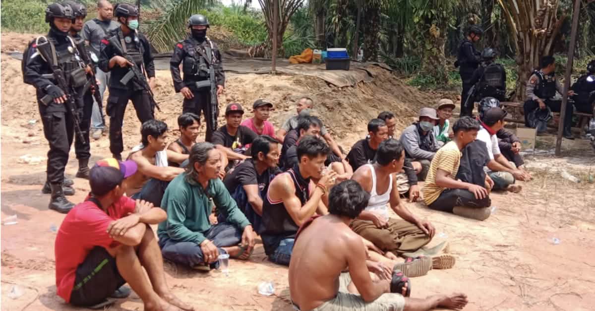 Tote und Verletzte auf Ölpalmplantage in Bangkal, Borneo Tote und Verletzte auf Ölpalmplantage in Bangkal, Borneo