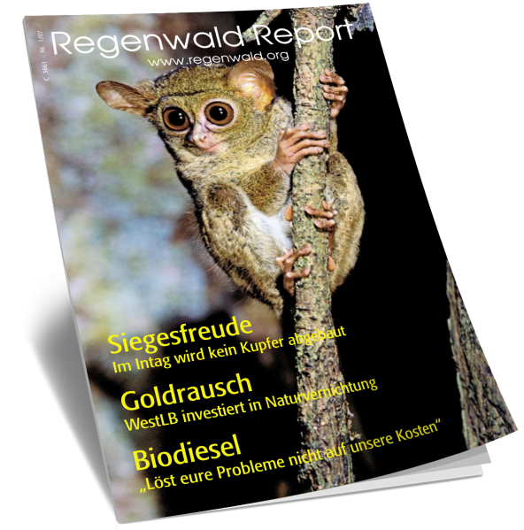 Titel Regenwald Report Nr.1 2007