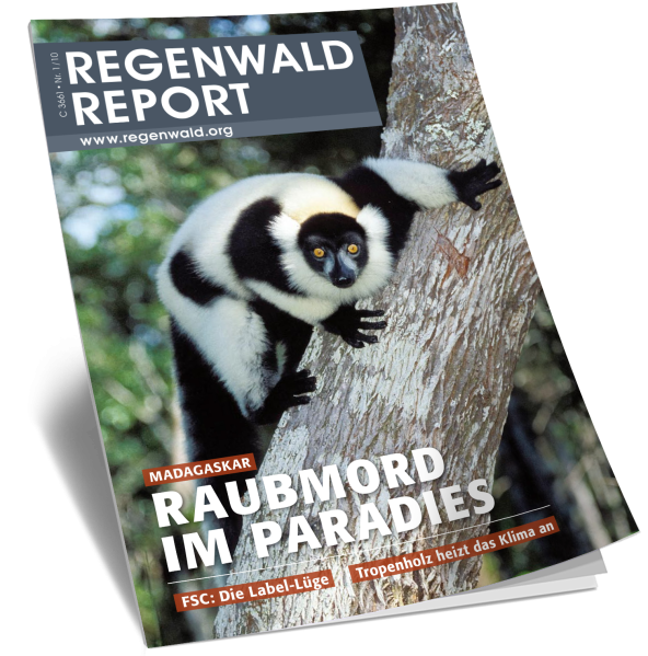 Titel Regenwald Report Nr.1 2010