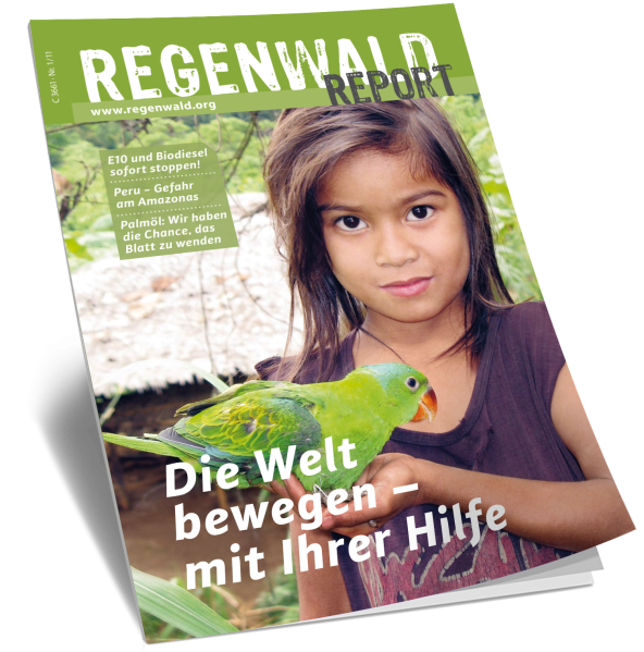 Titel Regenwald Report Nr.1 2011