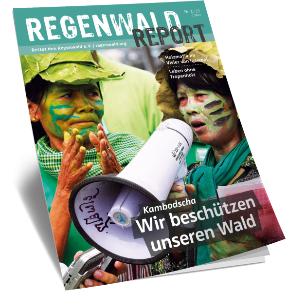 Cover Regenwald Report 01/2013