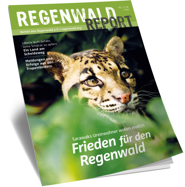 Titel Regenwald Report Nr.1 2014