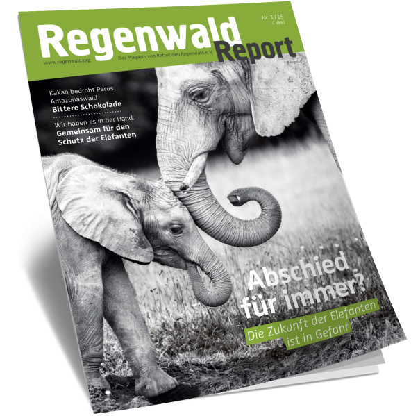 Cover Regenwald Report 01/2015