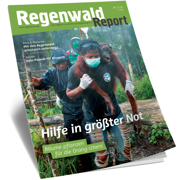 Cover Regenwald Report 01/2016