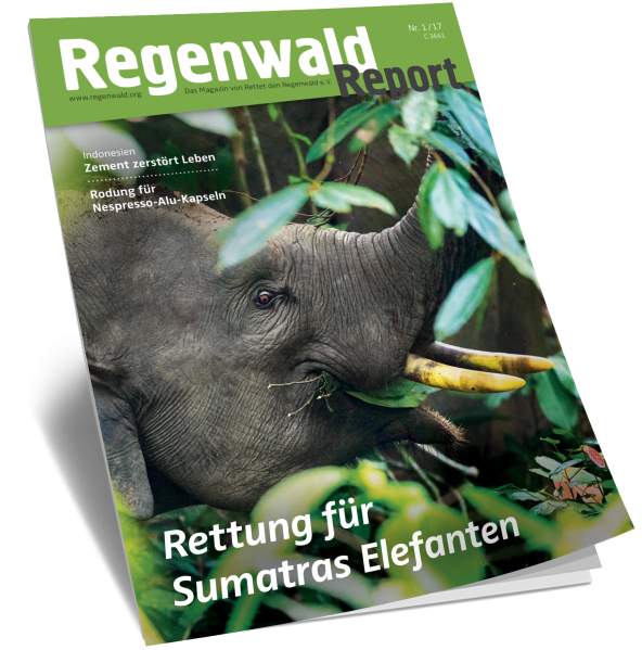 Cover Regenwald Report 01/2017