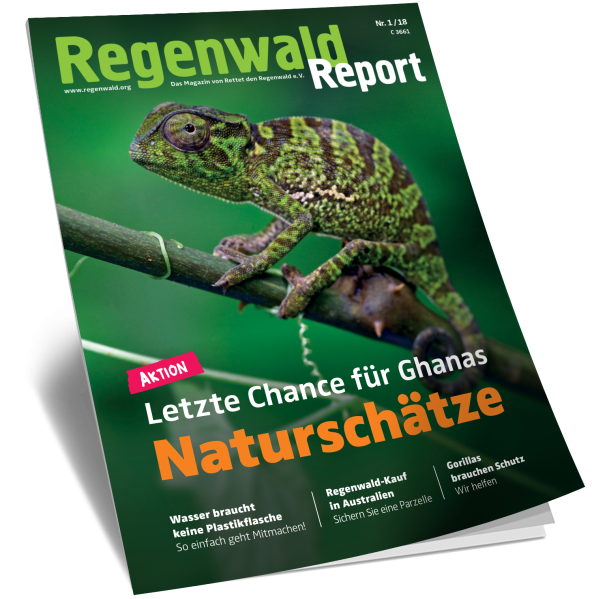 Titel Regenwald Report Nr.1 2018