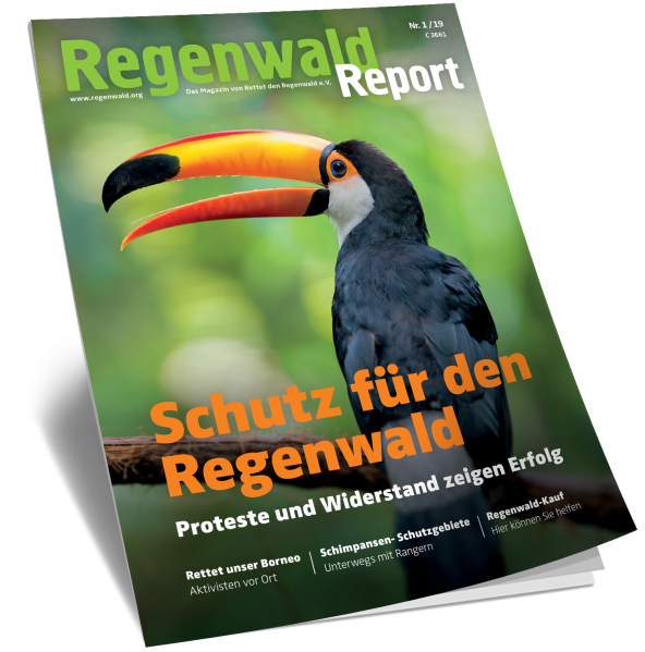 Cover Regenwald Report 01/2019