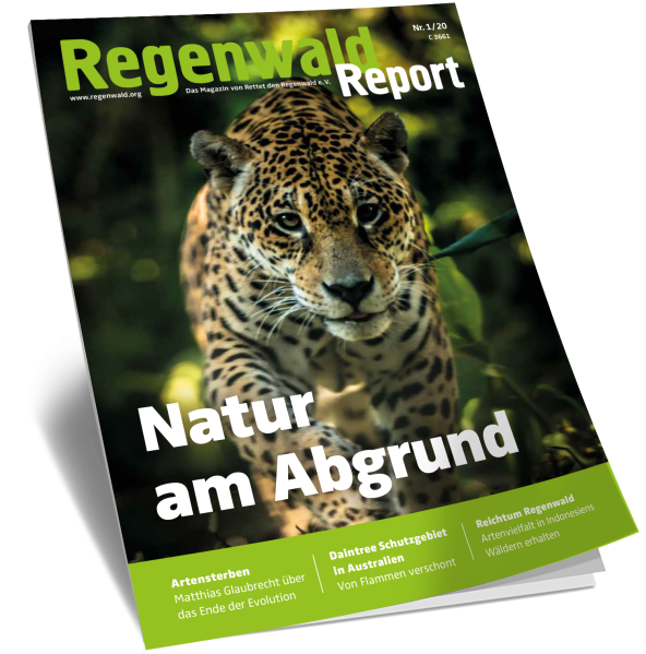 Cover Regenwald Report 01/2020