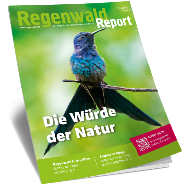 Cover Regenwald Report 01/2021