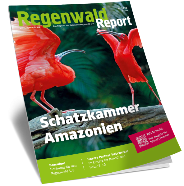 Cover Regenwald Report 01/2023: Schatzkammer Amazonien