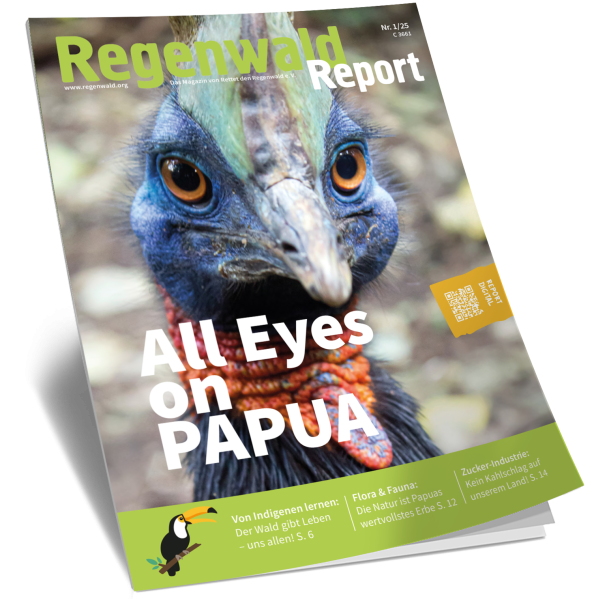 Titel Regenwald Report Nr.1 2025