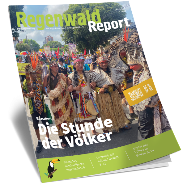 Cover Brasilien: Die Stunde der Völker