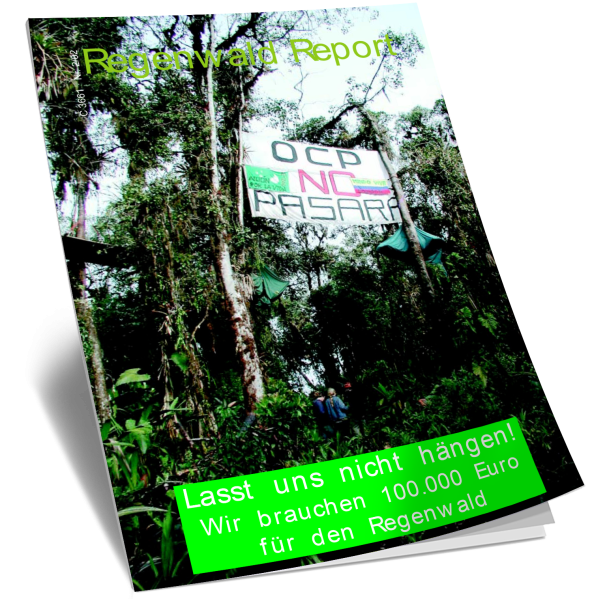 Cover RegenwaldReport 02/2002