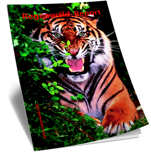 Cover RegenwaldReport 02/2003