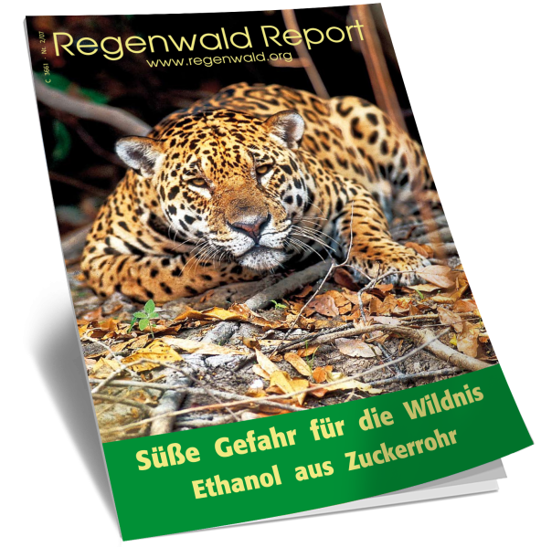 Cover RegenwaldReport 02/2007