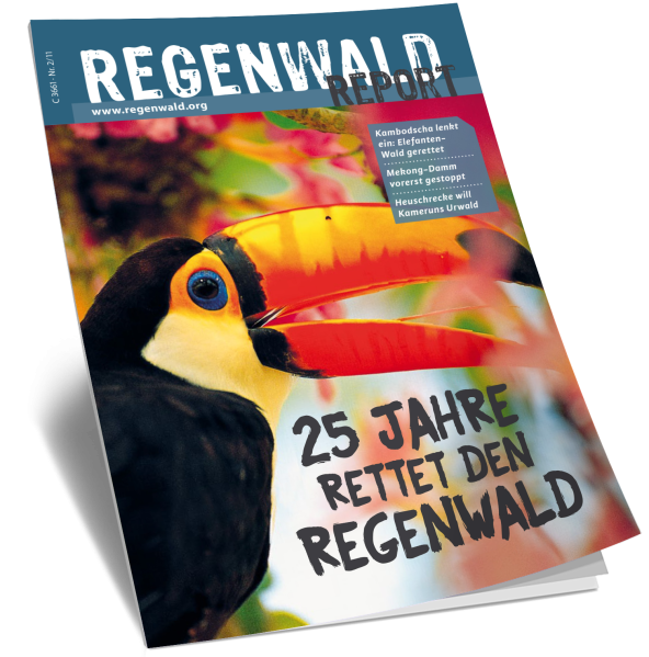 Titel Regenwald Report Nr.2 2011