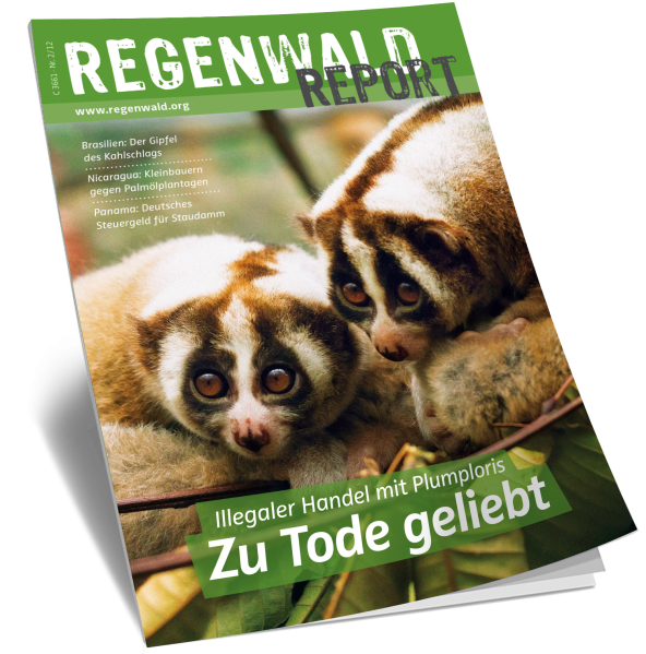 Titel Regenwald Report Nr.2 2012