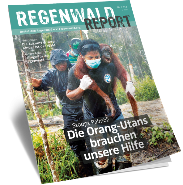 Cover Regenwald Report 02/2013