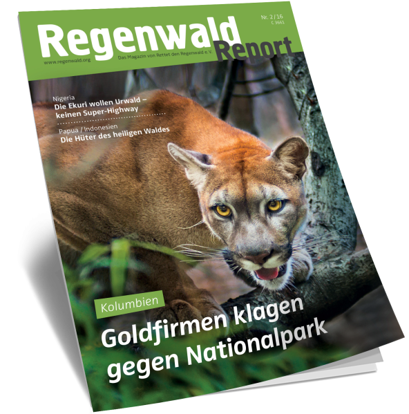 Titel Regenwald Report Nr.2 2016