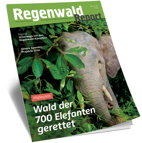 Cover Regenwald Report 02/2017
