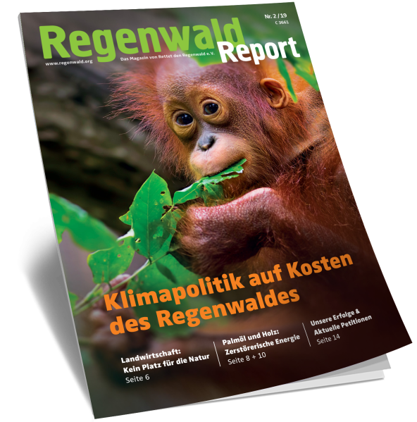 Cover Regenwald Report 02/2019