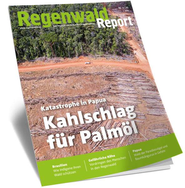 Cover Regenwald Report 02/2020