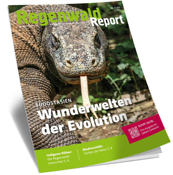 Titel Regenwald Report Nr.2 2023
