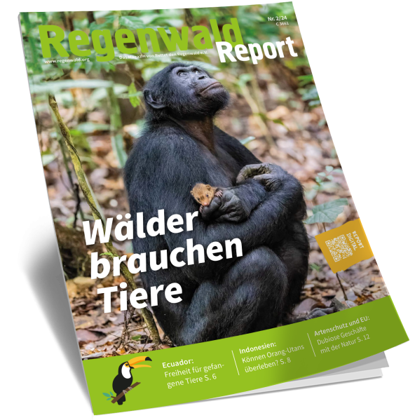 Titel Regenwald Report Nr.2 2024