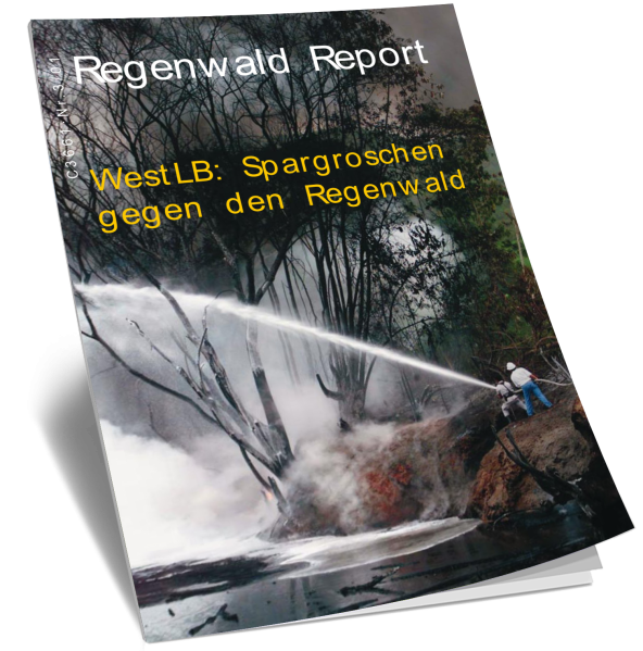 Cover RegenwaldReport 03/2001