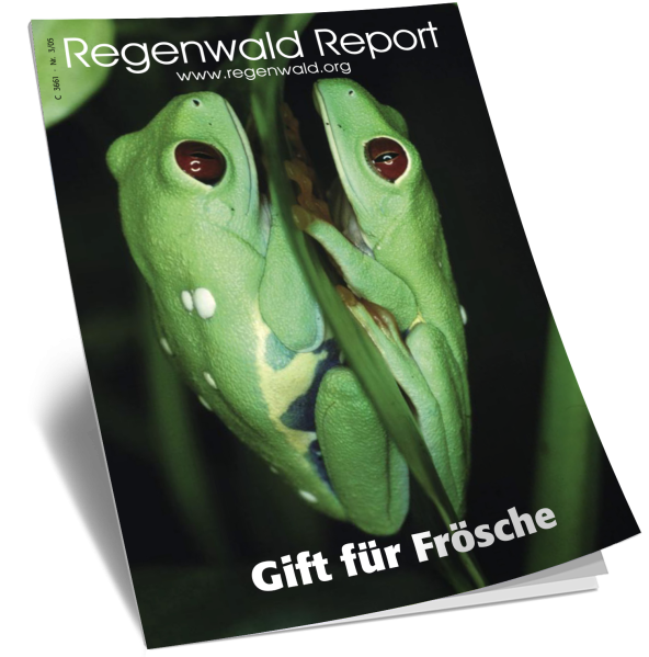 Titel Regenwald Report Nr.3 2005