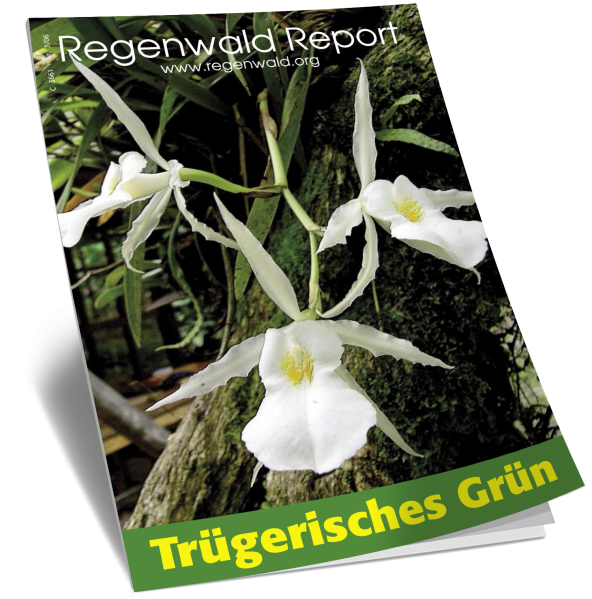 Cover RegenwaldReport 03/2006