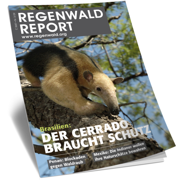 Titel Regenwald Report Nr.3 2009