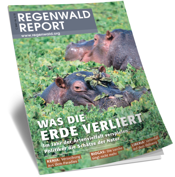 Titel Regenwald Report Nr.3 2010