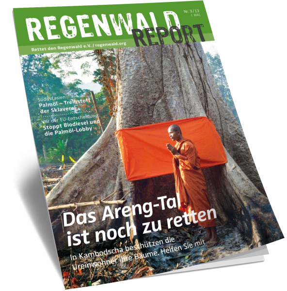 Titel Regenwald Report Nr.3 2013