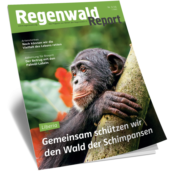 Cover Regenwald Report 03/2016