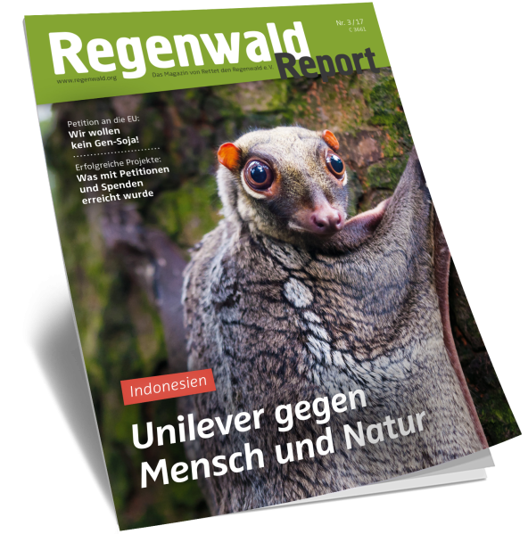 Cover Regenwald Report 03/2017