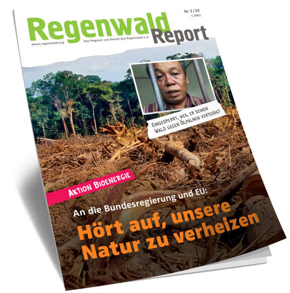 Titel Regenwald Report Nr.3 2018