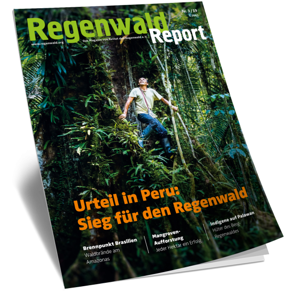 Cover Regenwald Report 03/2019