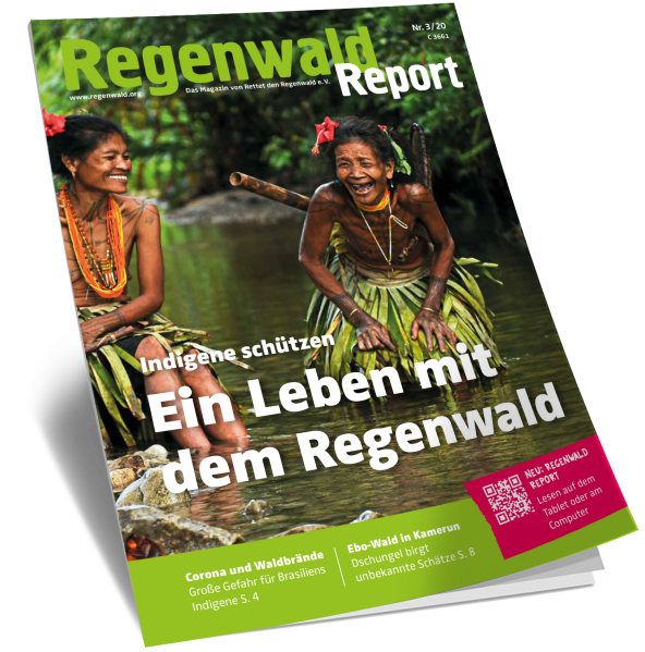 Cover Regenwald Report 03/2020