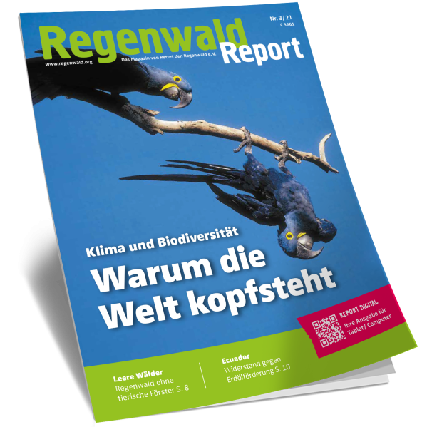 Cover Regenwald Report 03/2021