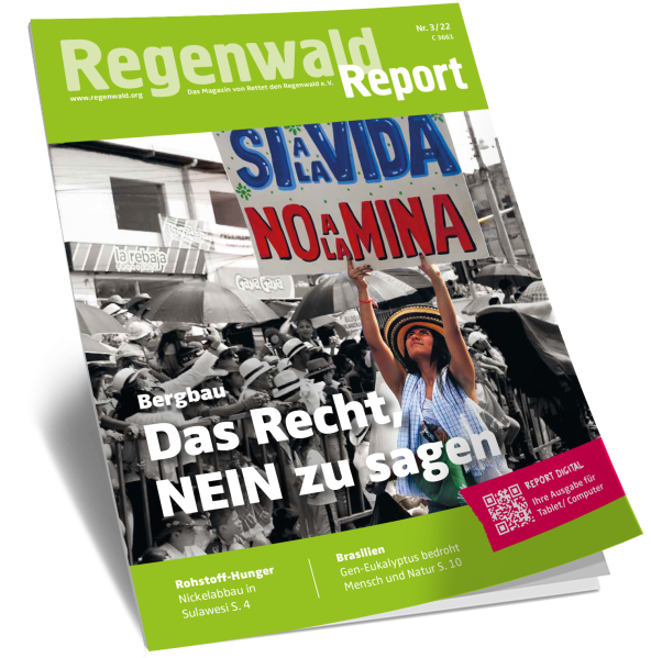 Cover Regenwald Report 03/2022