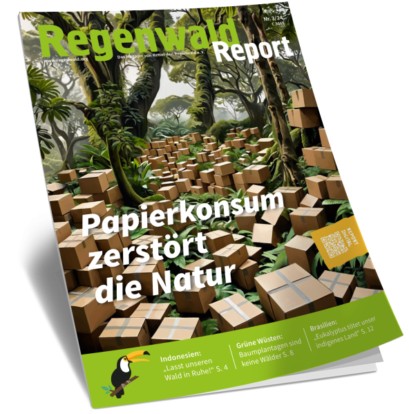 Titel Regenwald Report Nr.3 2024