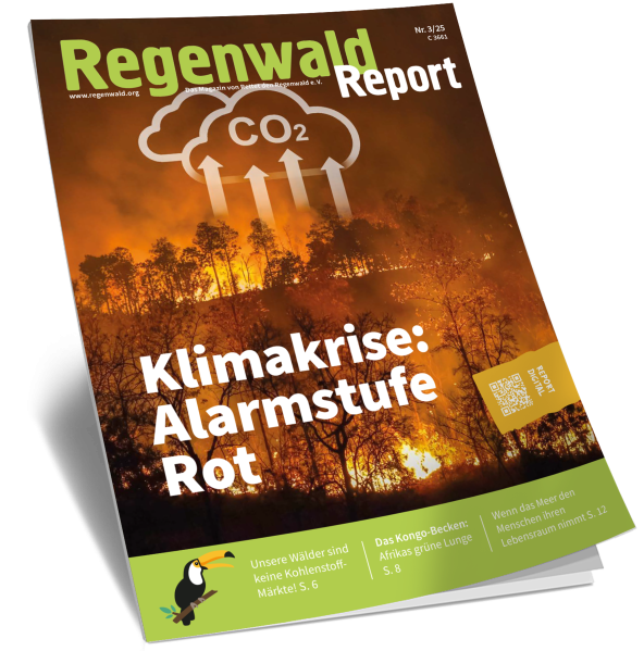 Cover Regenwald Report 03/2025