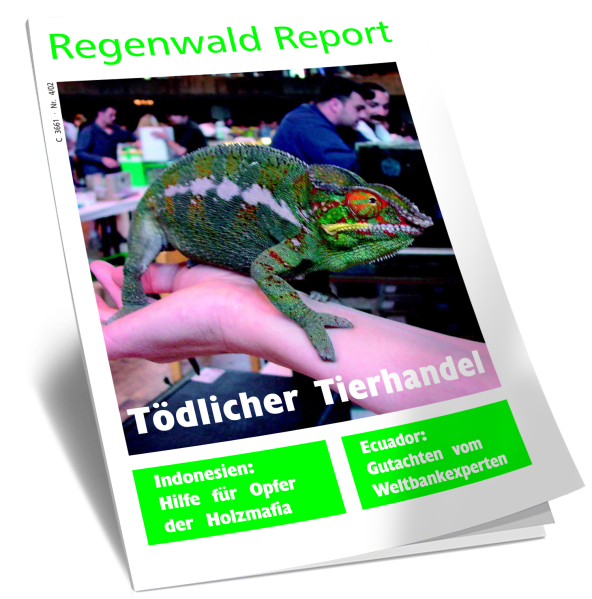 Cover RegenwaldReport 04/2002