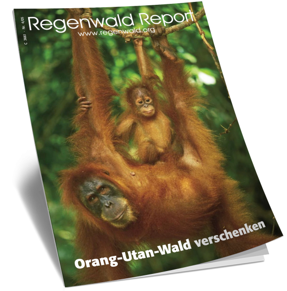 Cover RegenwaldReport 04/2005