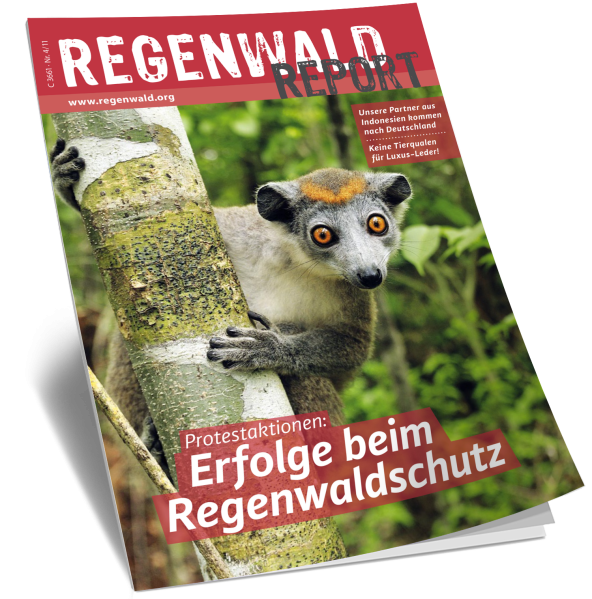 Cover Regenwald Report 04/2011