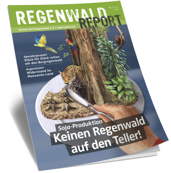 Titel Regenwald Report Nr.4 2012