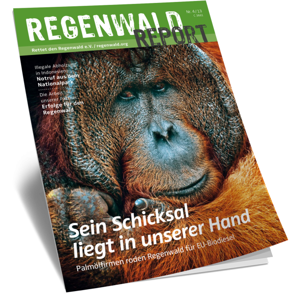 Titel Regenwald Report Nr.4 2013