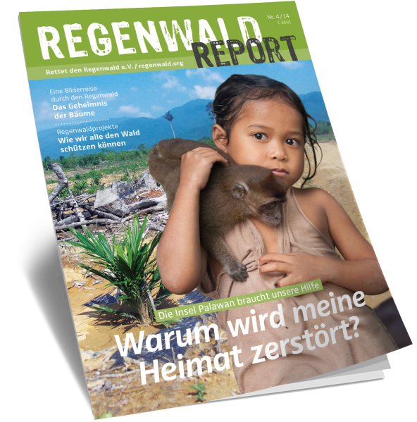 Cover Regenwald Report 04/2014
