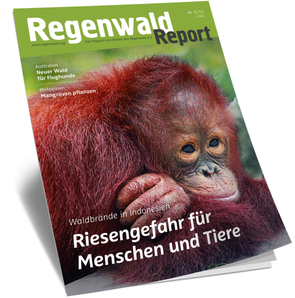 Cover Regenwald Report 04/2015